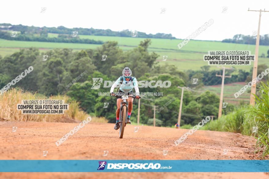 1ª EDIÇÃO DESAFIO ABELHA GRANDE - XCM