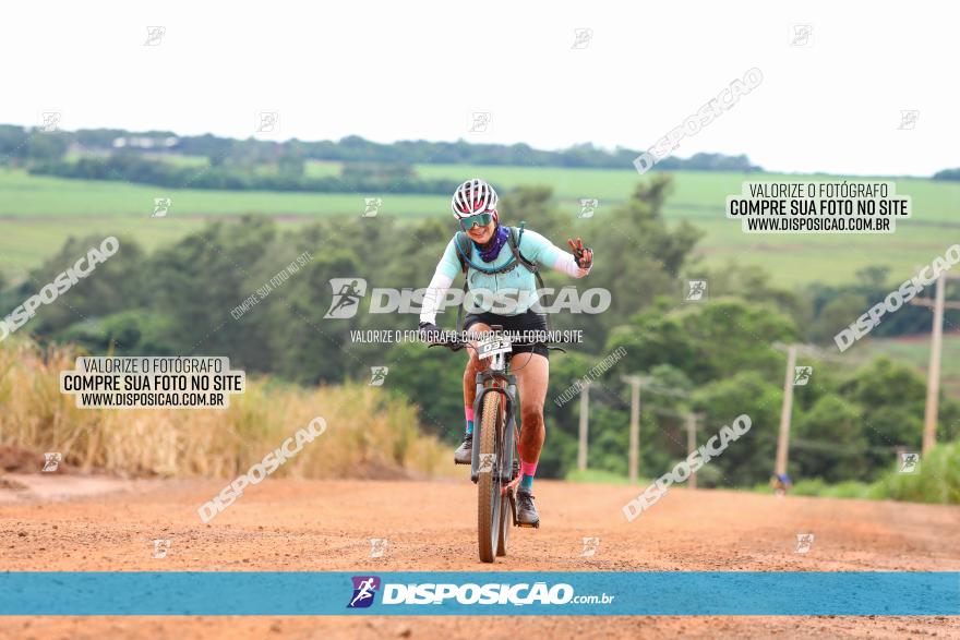 1ª EDIÇÃO DESAFIO ABELHA GRANDE - XCM