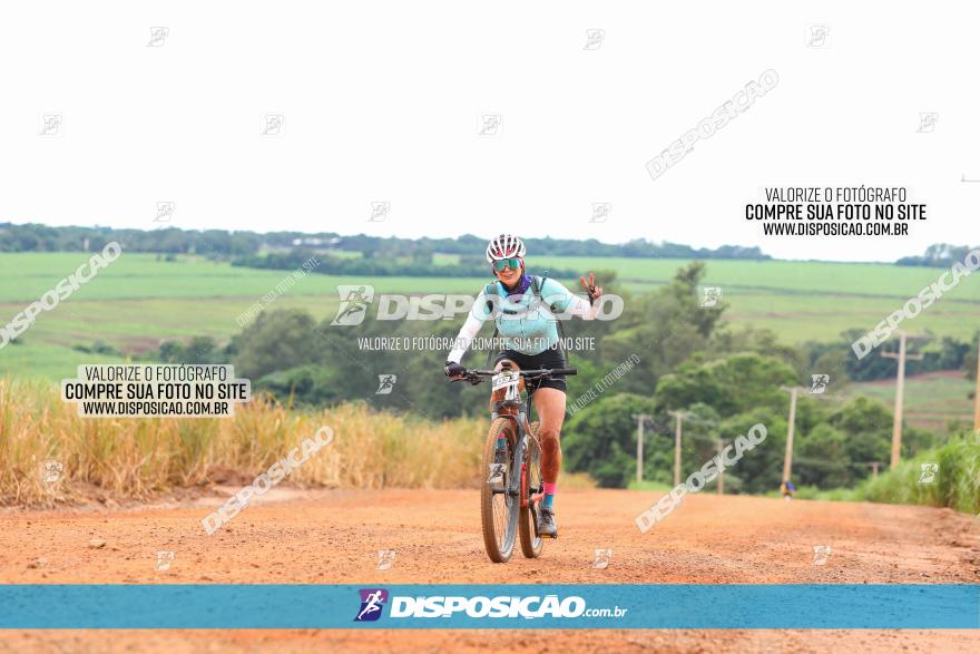 1ª EDIÇÃO DESAFIO ABELHA GRANDE - XCM