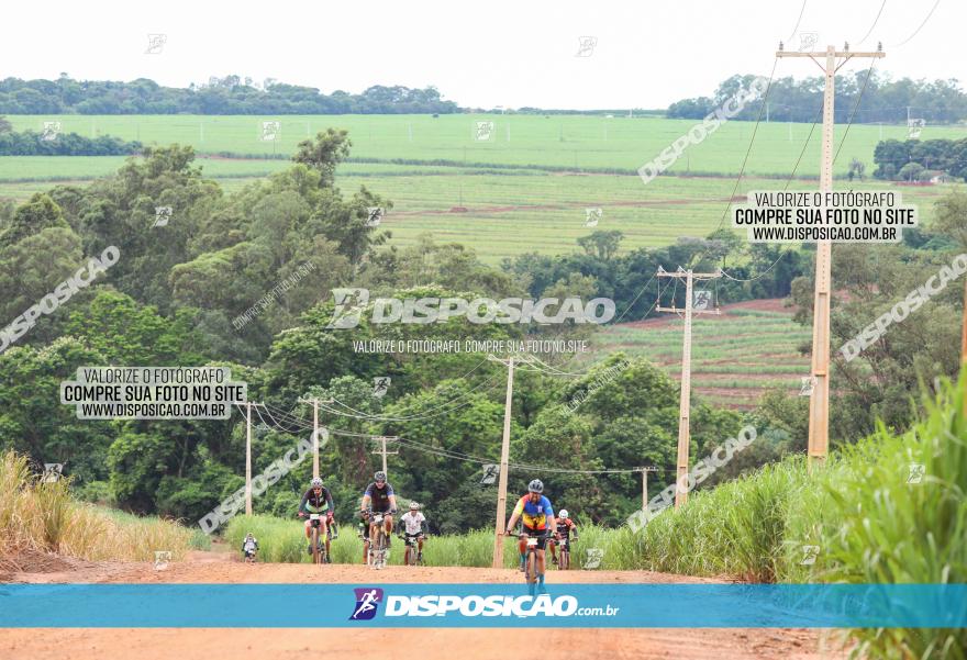 1ª EDIÇÃO DESAFIO ABELHA GRANDE - XCM