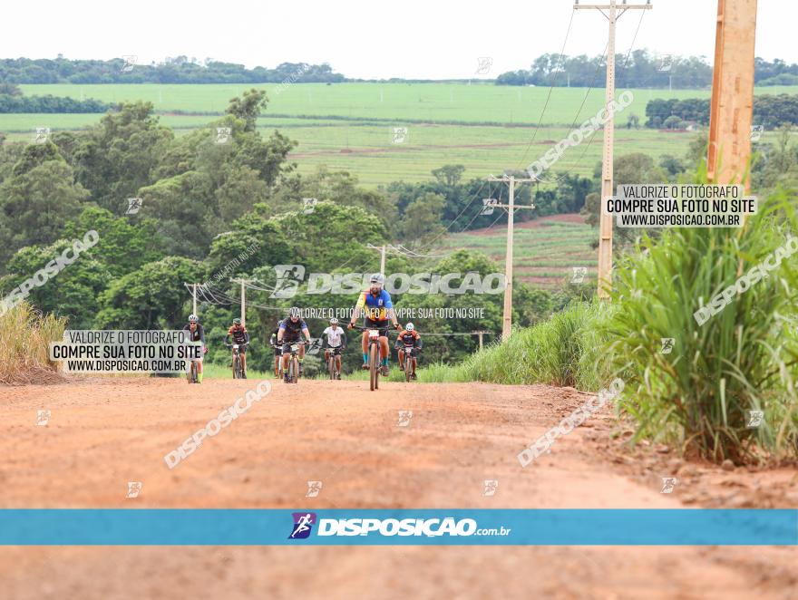 1ª EDIÇÃO DESAFIO ABELHA GRANDE - XCM