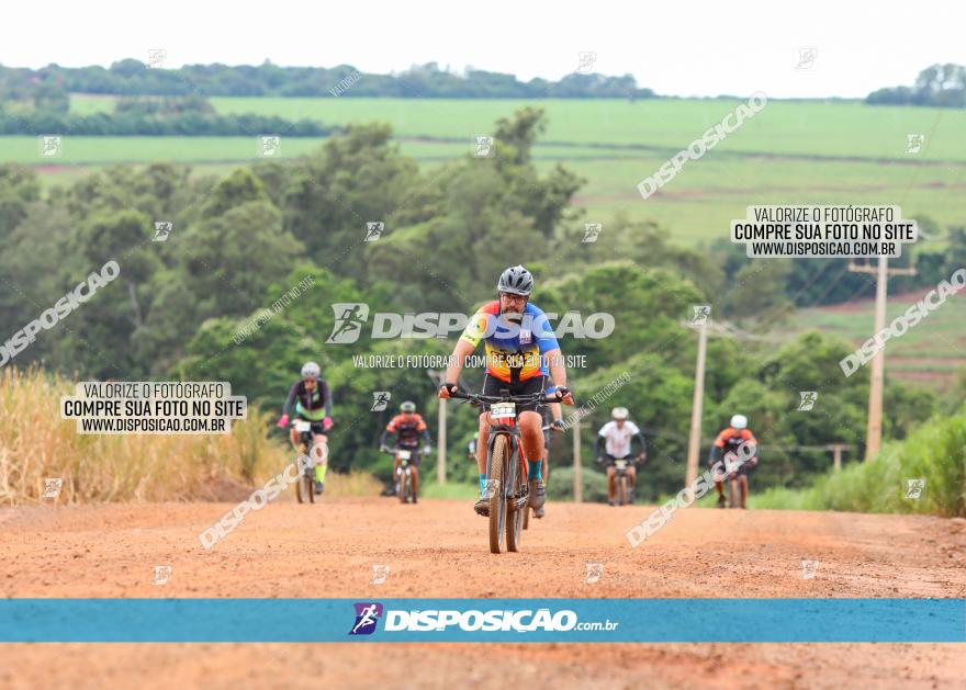 1ª EDIÇÃO DESAFIO ABELHA GRANDE - XCM