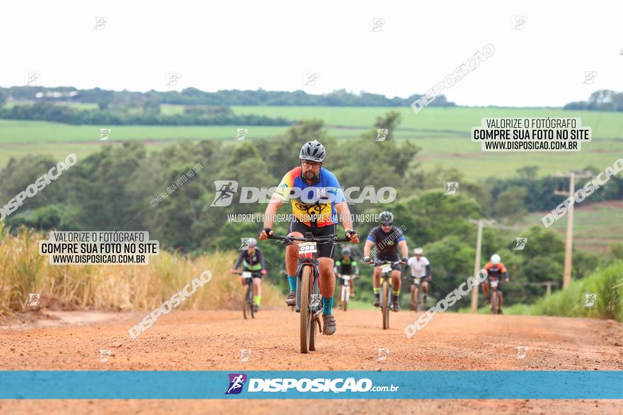 1ª EDIÇÃO DESAFIO ABELHA GRANDE - XCM