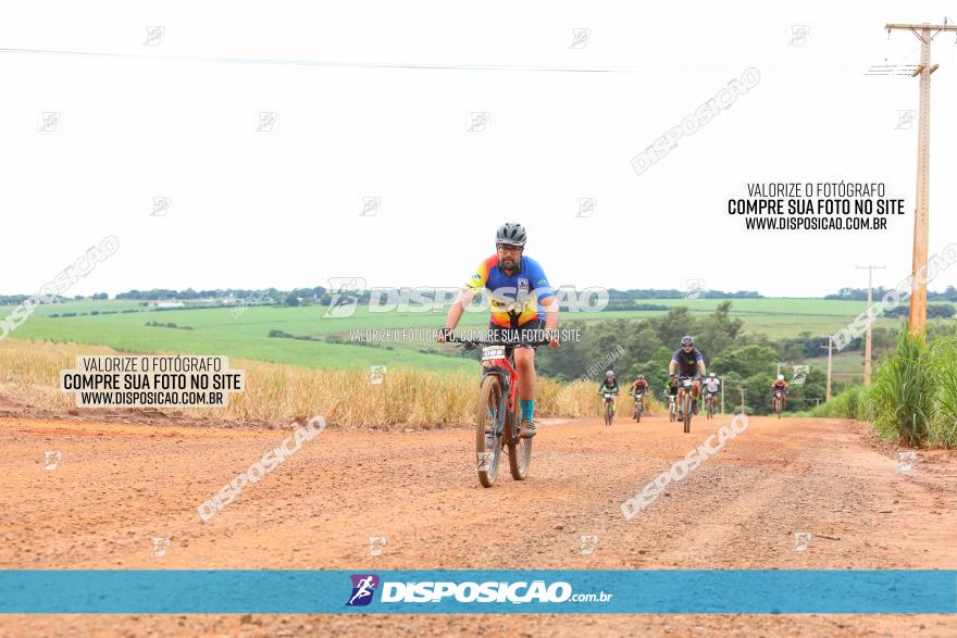 1ª EDIÇÃO DESAFIO ABELHA GRANDE - XCM