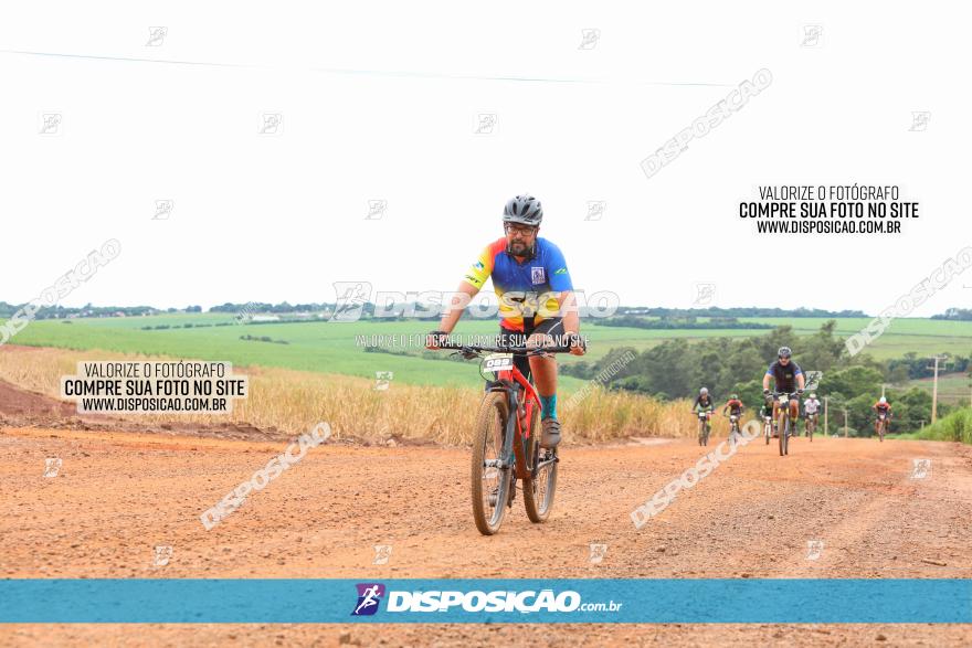 1ª EDIÇÃO DESAFIO ABELHA GRANDE - XCM