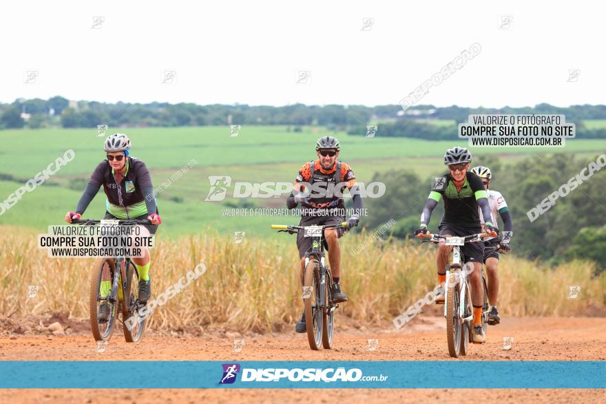 1ª EDIÇÃO DESAFIO ABELHA GRANDE - XCM