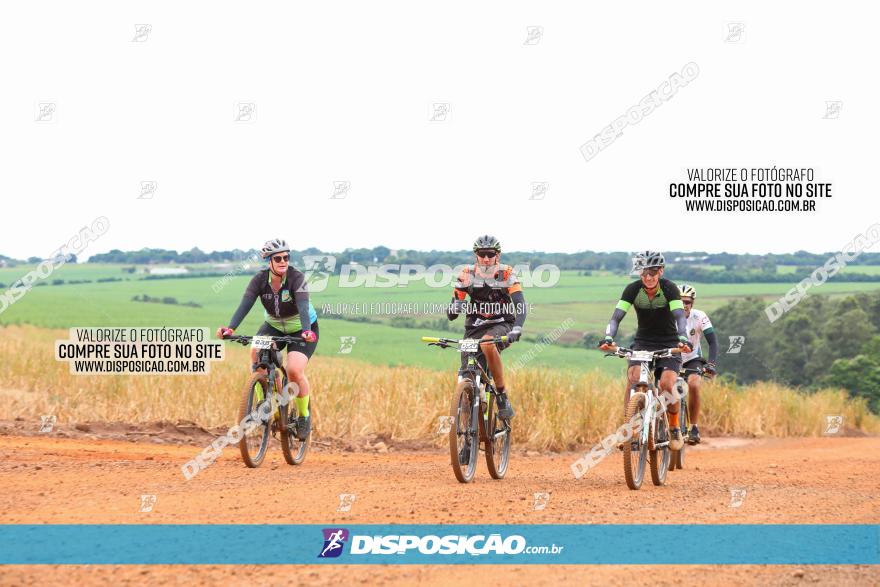 1ª EDIÇÃO DESAFIO ABELHA GRANDE - XCM