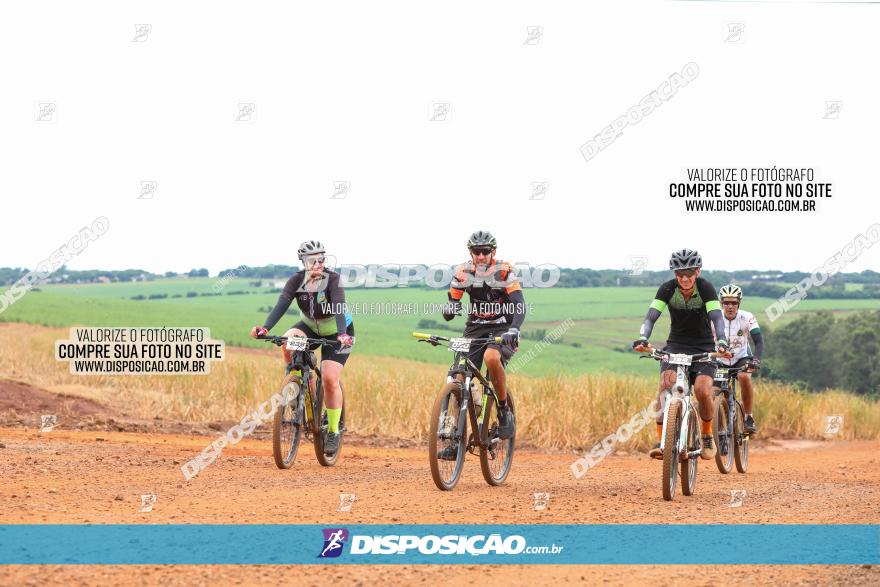 1ª EDIÇÃO DESAFIO ABELHA GRANDE - XCM