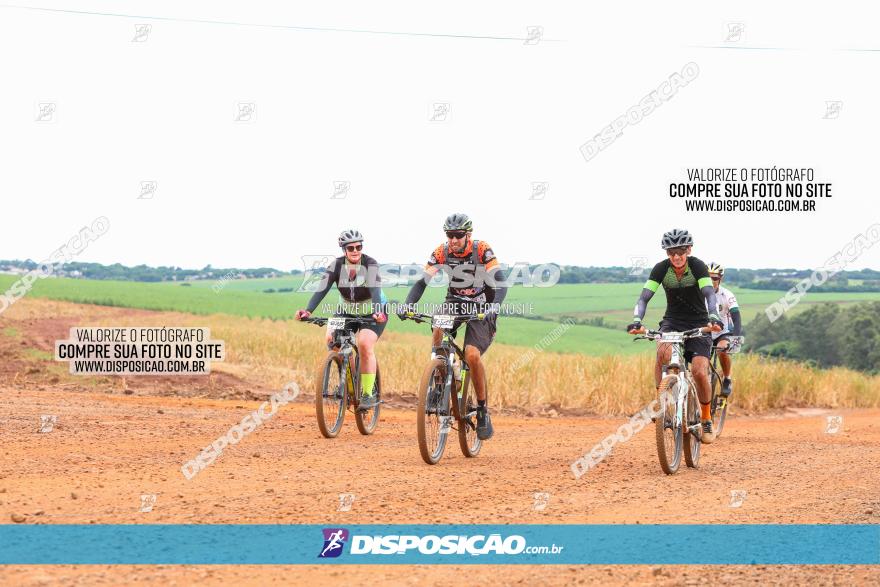 1ª EDIÇÃO DESAFIO ABELHA GRANDE - XCM