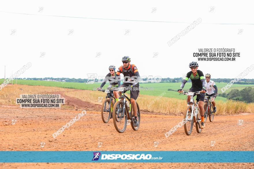 1ª EDIÇÃO DESAFIO ABELHA GRANDE - XCM