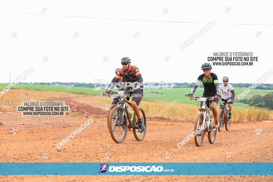 1ª EDIÇÃO DESAFIO ABELHA GRANDE - XCM