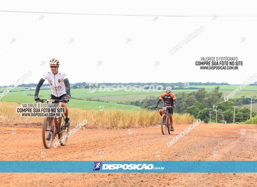 1ª EDIÇÃO DESAFIO ABELHA GRANDE - XCM