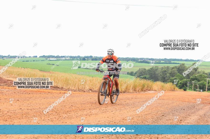 1ª EDIÇÃO DESAFIO ABELHA GRANDE - XCM