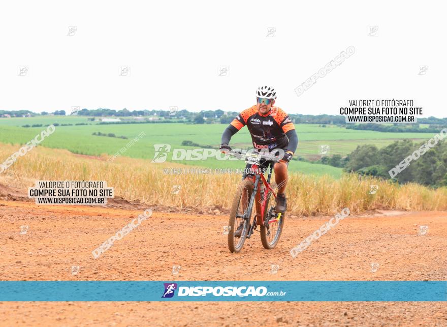 1ª EDIÇÃO DESAFIO ABELHA GRANDE - XCM