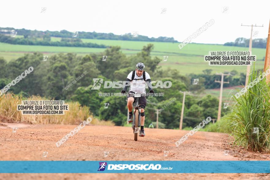 1ª EDIÇÃO DESAFIO ABELHA GRANDE - XCM