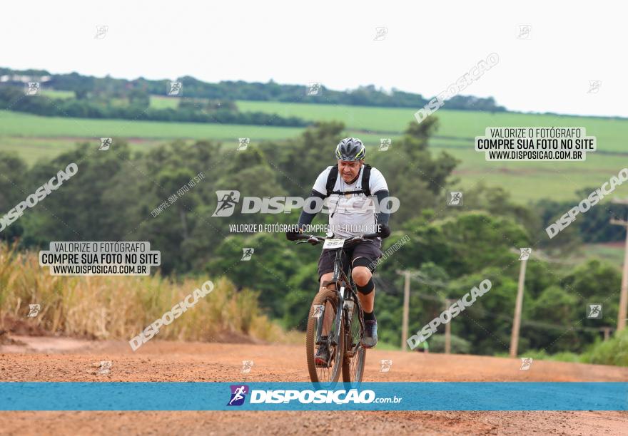 1ª EDIÇÃO DESAFIO ABELHA GRANDE - XCM