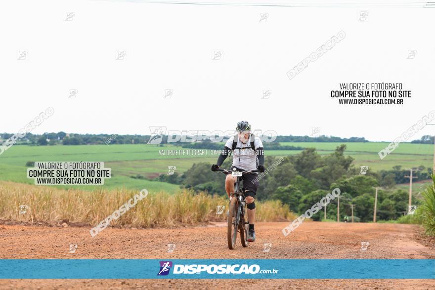 1ª EDIÇÃO DESAFIO ABELHA GRANDE - XCM