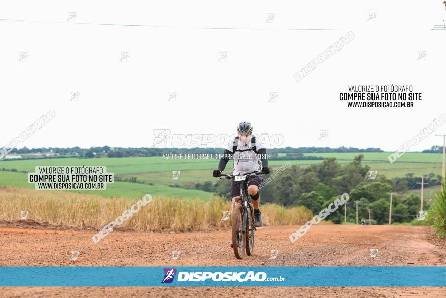 1ª EDIÇÃO DESAFIO ABELHA GRANDE - XCM