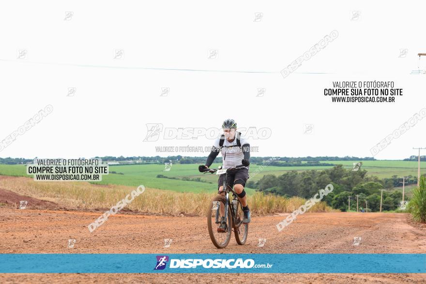 1ª EDIÇÃO DESAFIO ABELHA GRANDE - XCM