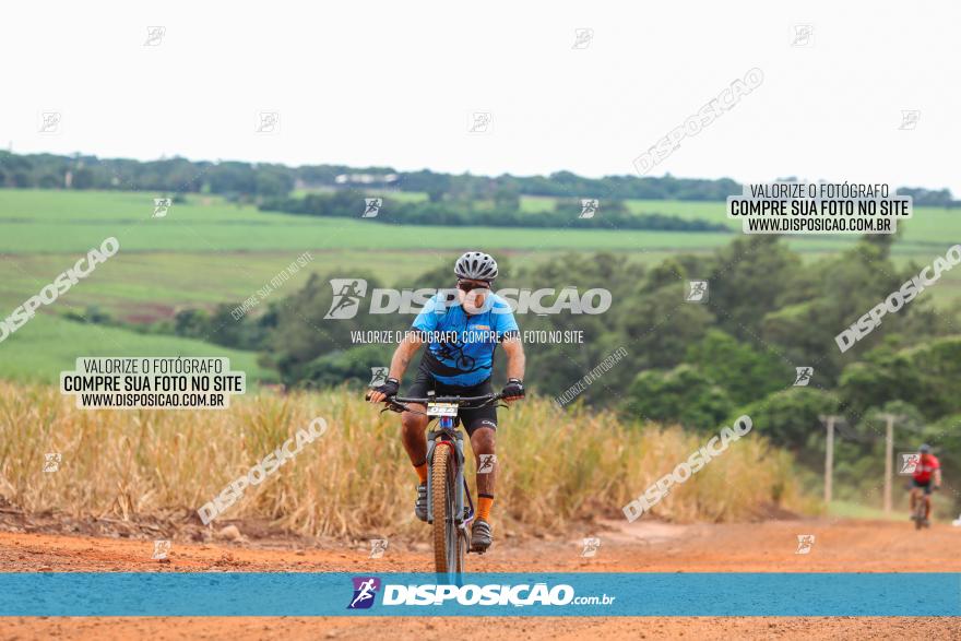 1ª EDIÇÃO DESAFIO ABELHA GRANDE - XCM