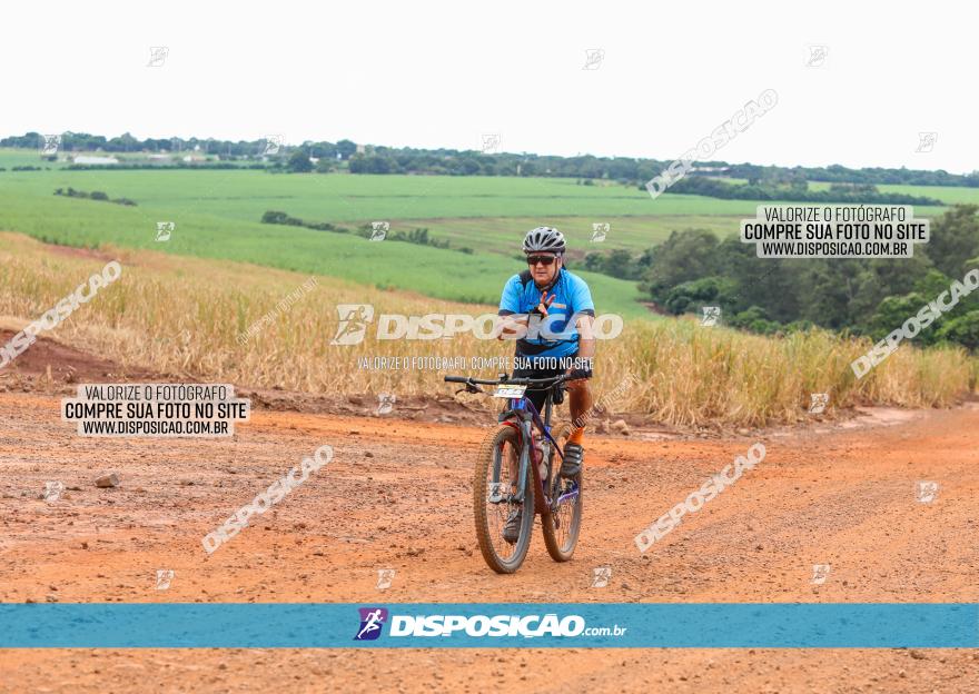 1ª EDIÇÃO DESAFIO ABELHA GRANDE - XCM