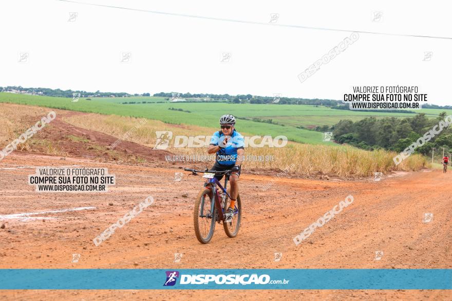 1ª EDIÇÃO DESAFIO ABELHA GRANDE - XCM