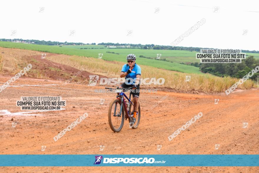 1ª EDIÇÃO DESAFIO ABELHA GRANDE - XCM