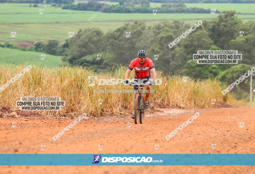 1ª EDIÇÃO DESAFIO ABELHA GRANDE - XCM