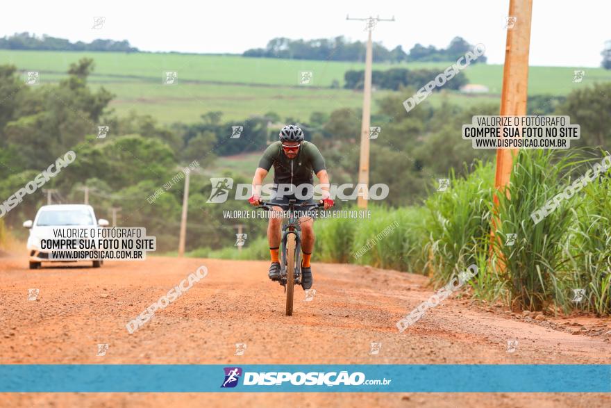 1ª EDIÇÃO DESAFIO ABELHA GRANDE - XCM