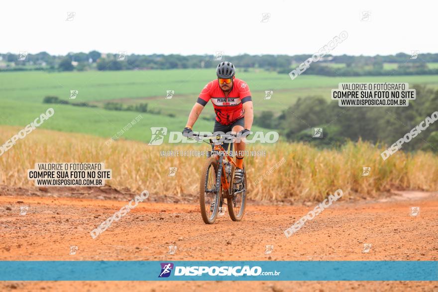 1ª EDIÇÃO DESAFIO ABELHA GRANDE - XCM