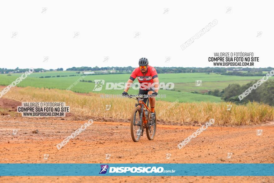 1ª EDIÇÃO DESAFIO ABELHA GRANDE - XCM