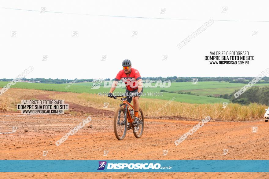 1ª EDIÇÃO DESAFIO ABELHA GRANDE - XCM