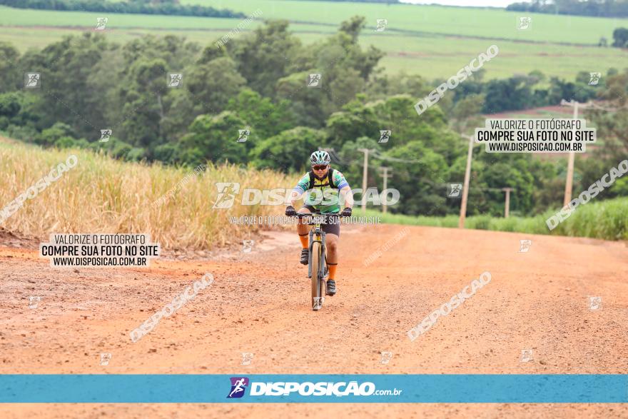 1ª EDIÇÃO DESAFIO ABELHA GRANDE - XCM