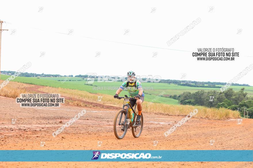 1ª EDIÇÃO DESAFIO ABELHA GRANDE - XCM