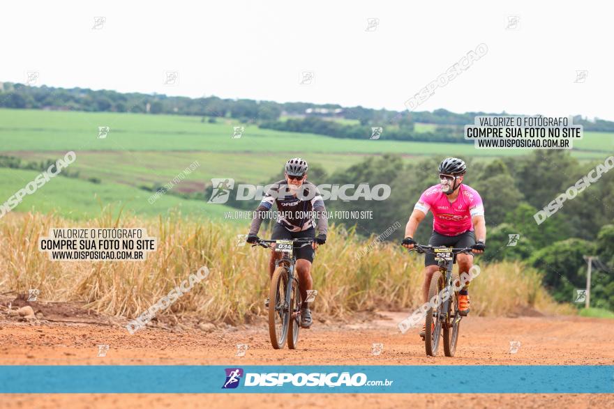 1ª EDIÇÃO DESAFIO ABELHA GRANDE - XCM