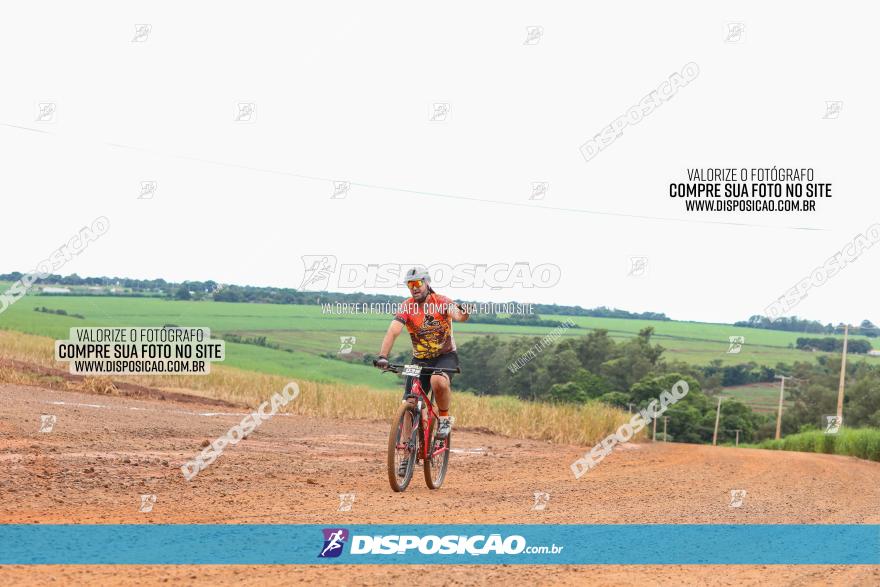 1ª EDIÇÃO DESAFIO ABELHA GRANDE - XCM