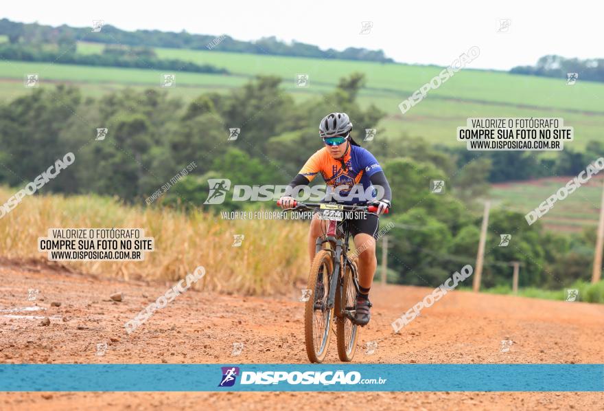 1ª EDIÇÃO DESAFIO ABELHA GRANDE - XCM