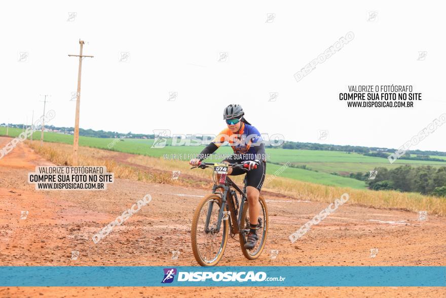 1ª EDIÇÃO DESAFIO ABELHA GRANDE - XCM