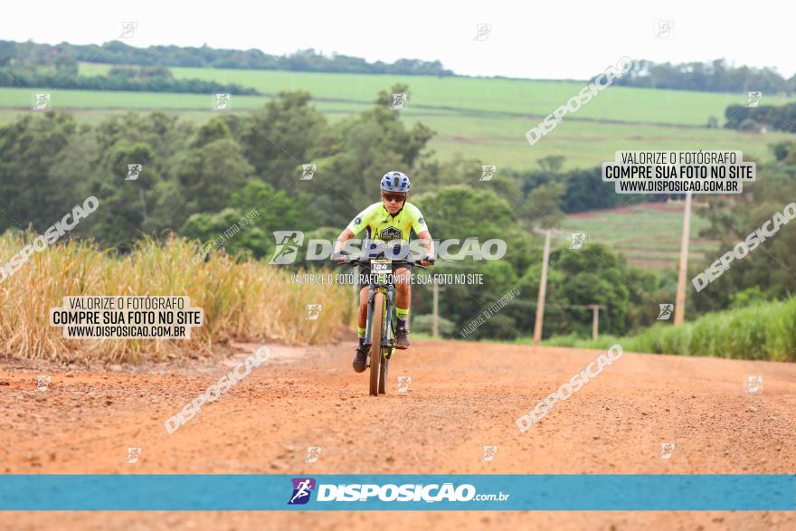 1ª EDIÇÃO DESAFIO ABELHA GRANDE - XCM