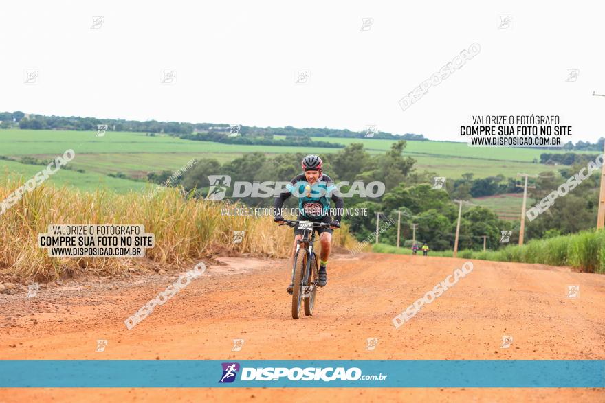 1ª EDIÇÃO DESAFIO ABELHA GRANDE - XCM