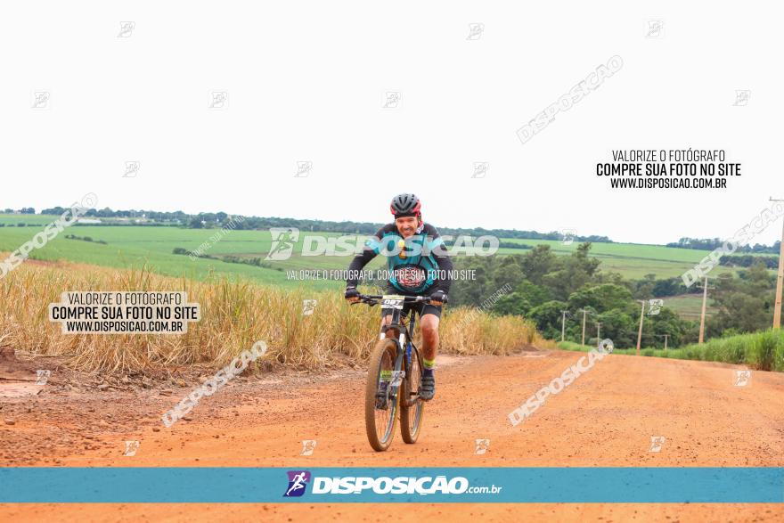 1ª EDIÇÃO DESAFIO ABELHA GRANDE - XCM