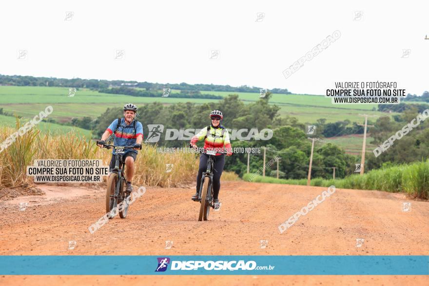 1ª EDIÇÃO DESAFIO ABELHA GRANDE - XCM