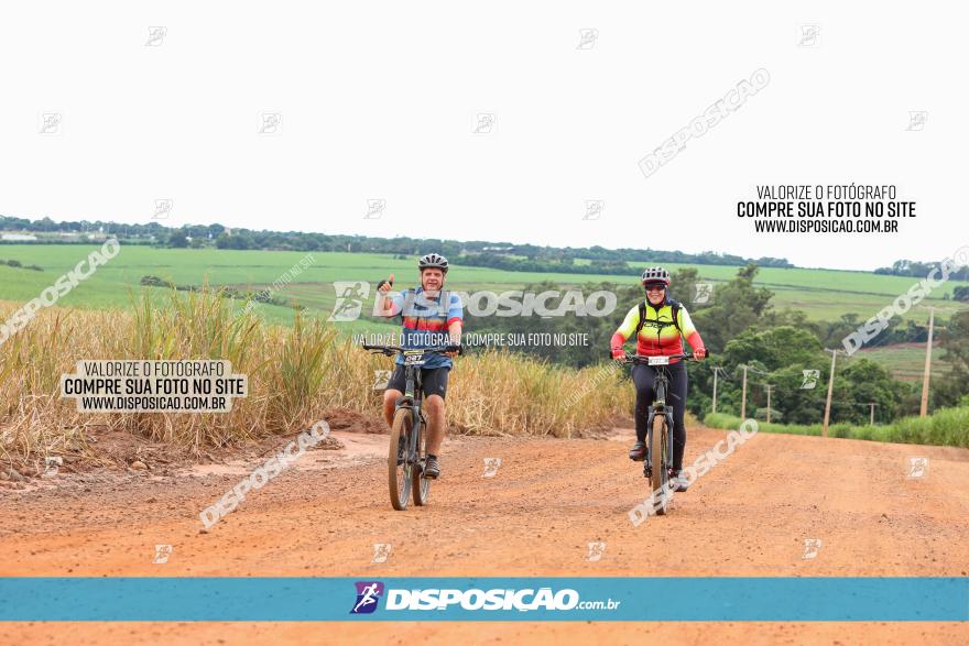 1ª EDIÇÃO DESAFIO ABELHA GRANDE - XCM