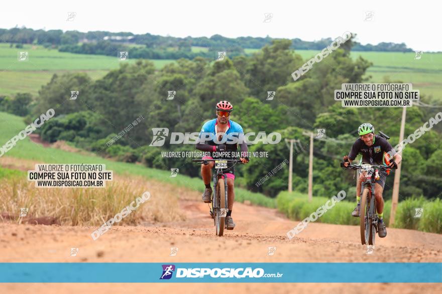 1ª EDIÇÃO DESAFIO ABELHA GRANDE - XCM