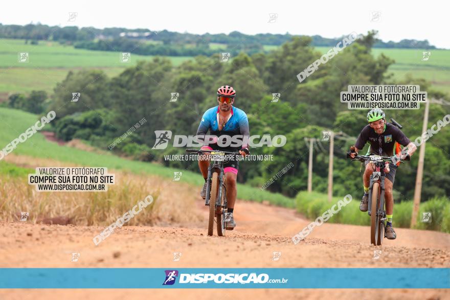 1ª EDIÇÃO DESAFIO ABELHA GRANDE - XCM