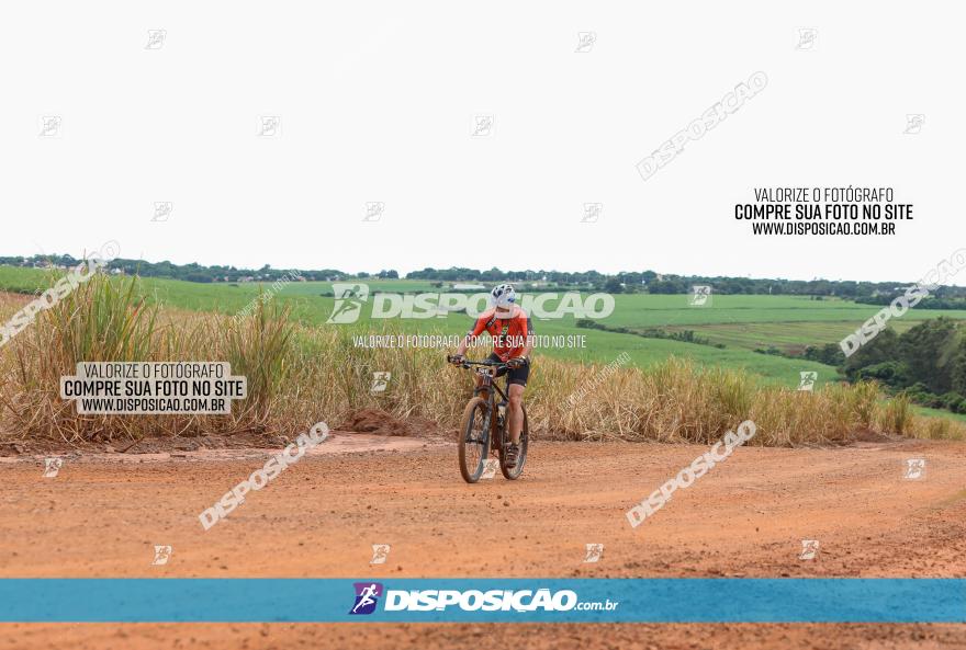 1ª EDIÇÃO DESAFIO ABELHA GRANDE - XCM