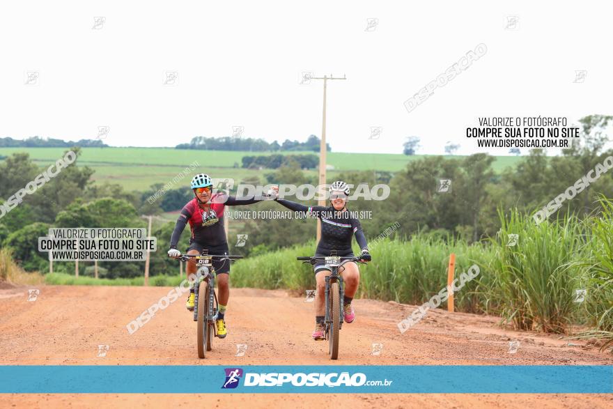 1ª EDIÇÃO DESAFIO ABELHA GRANDE - XCM