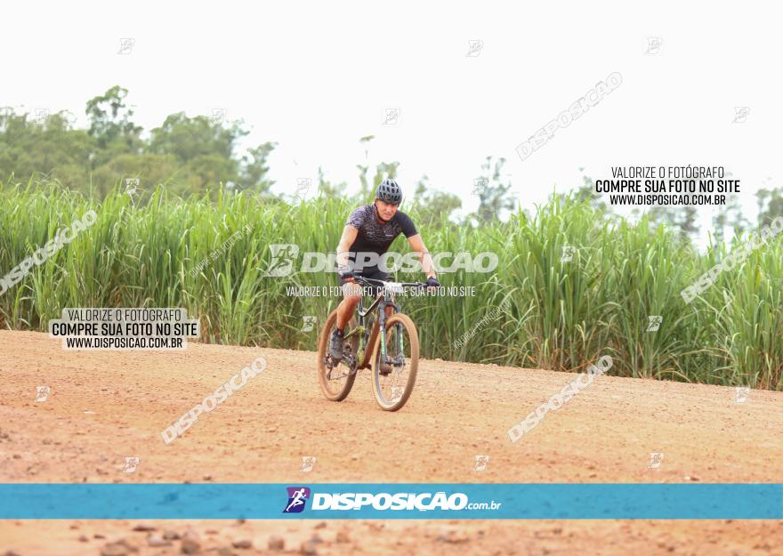 1ª EDIÇÃO DESAFIO ABELHA GRANDE - XCM