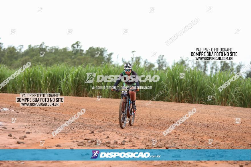 1ª EDIÇÃO DESAFIO ABELHA GRANDE - XCM