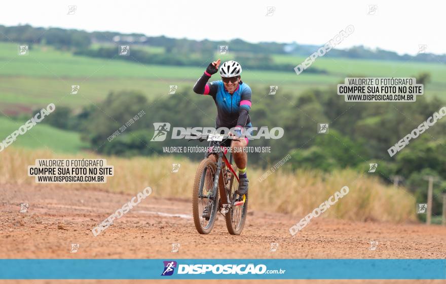 1ª EDIÇÃO DESAFIO ABELHA GRANDE - XCM